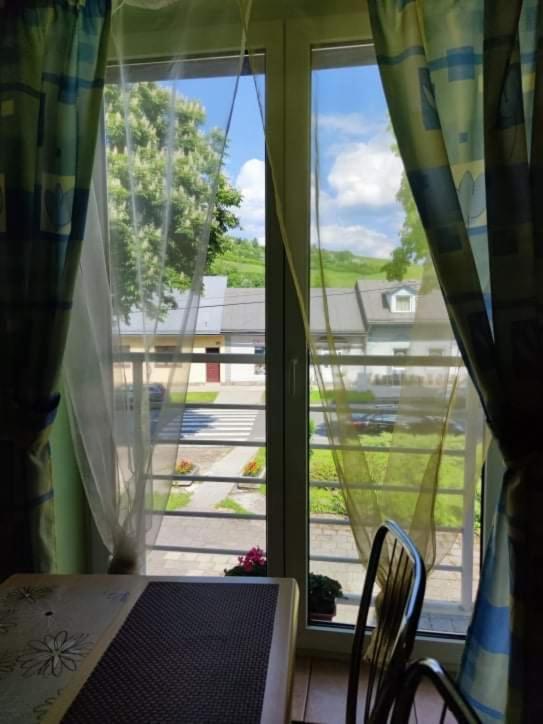 Hotel Penzión Roal Pieniny Spisska Stara Ves Exterior foto