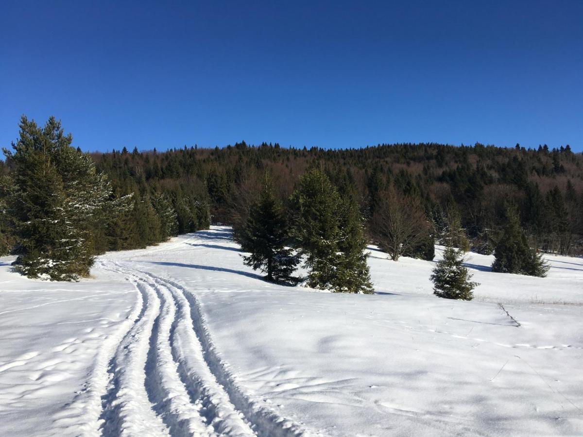 Hotel Penzión Roal Pieniny Spisska Stara Ves Exterior foto