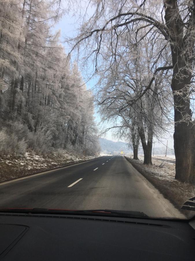 Hotel Penzión Roal Pieniny Spisska Stara Ves Exterior foto
