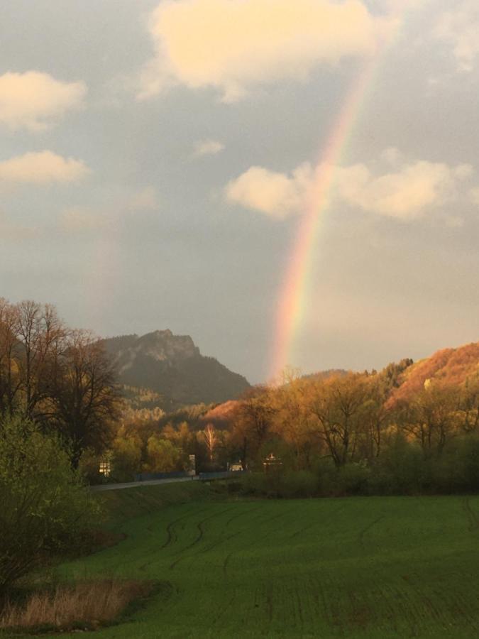 Hotel Penzión Roal Pieniny Spisska Stara Ves Exterior foto