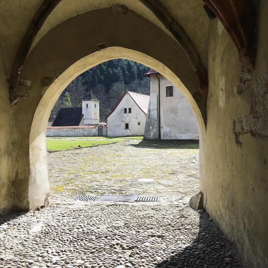Hotel Penzión Roal Pieniny Spisska Stara Ves Exterior foto