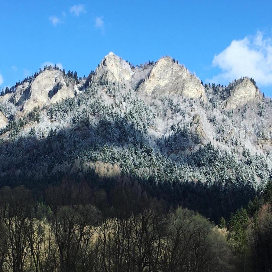 Hotel Penzión Roal Pieniny Spisska Stara Ves Exterior foto